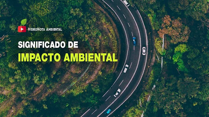 Humanidad e Impacto Ambiental